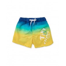 Blue and yellow bermuda shorts for boys Tiny Critters 