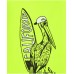 Boys'yellow T-shirt with pelican print 