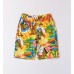 STREET GRAPHIC SHORTS IDO STREET GRAPHIC SHORTS IDO