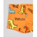 ORANGE SWIM TRUNK LOSAN