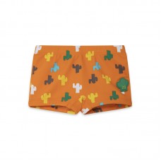 ORANGE CACTUS BOXERS FOR BOYS FUNCACTUS