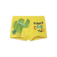 YELLOW CACTUS BOXERS FOR BOYS FUNCACTUS
