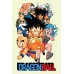 iDO Dragon Ball summer outfit for boys 